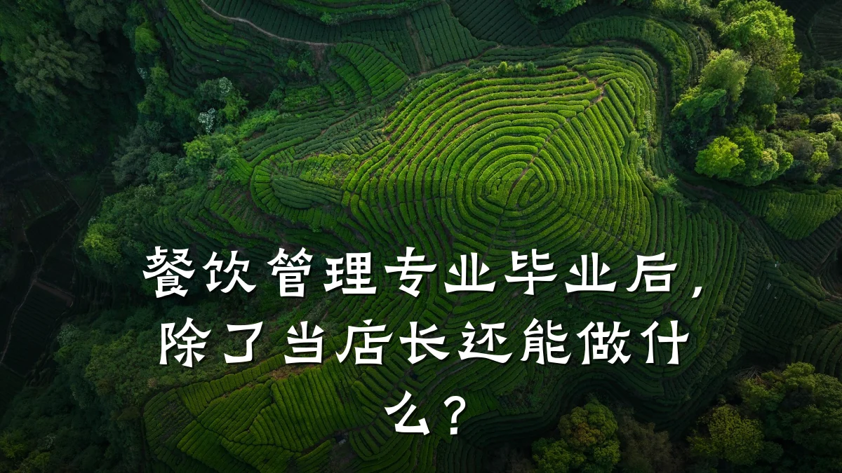 餐饮管理专业毕业后，除了当店长还能做什么？
