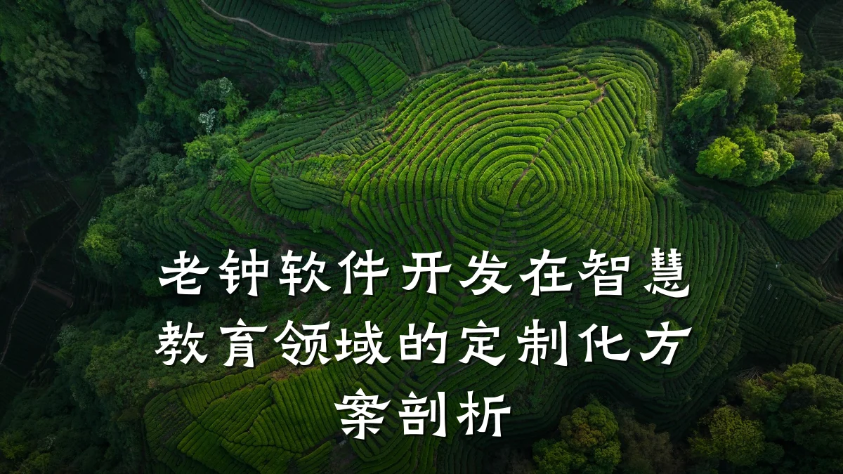 老钟软件开发在智慧教育领域的定制化方案剖析
