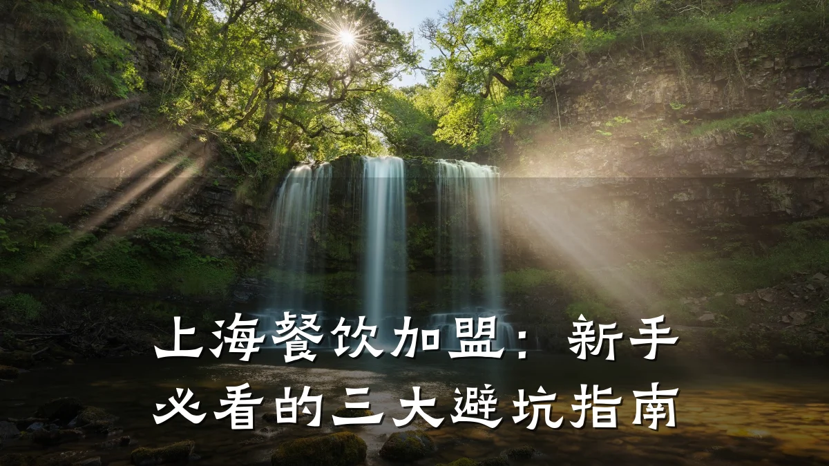 上海餐饮加盟：新手必看的三大避坑指南