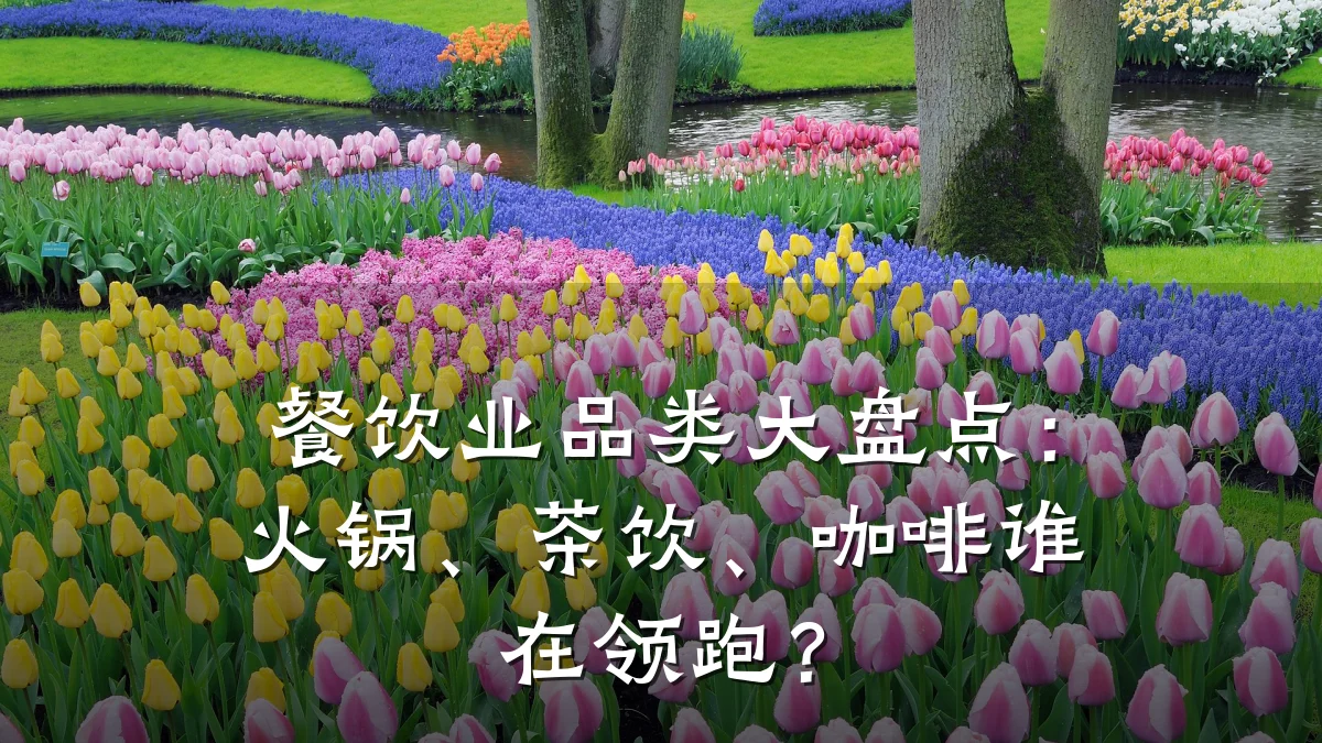 餐饮业品类大盘点：火锅、茶饮、咖啡谁在领跑？