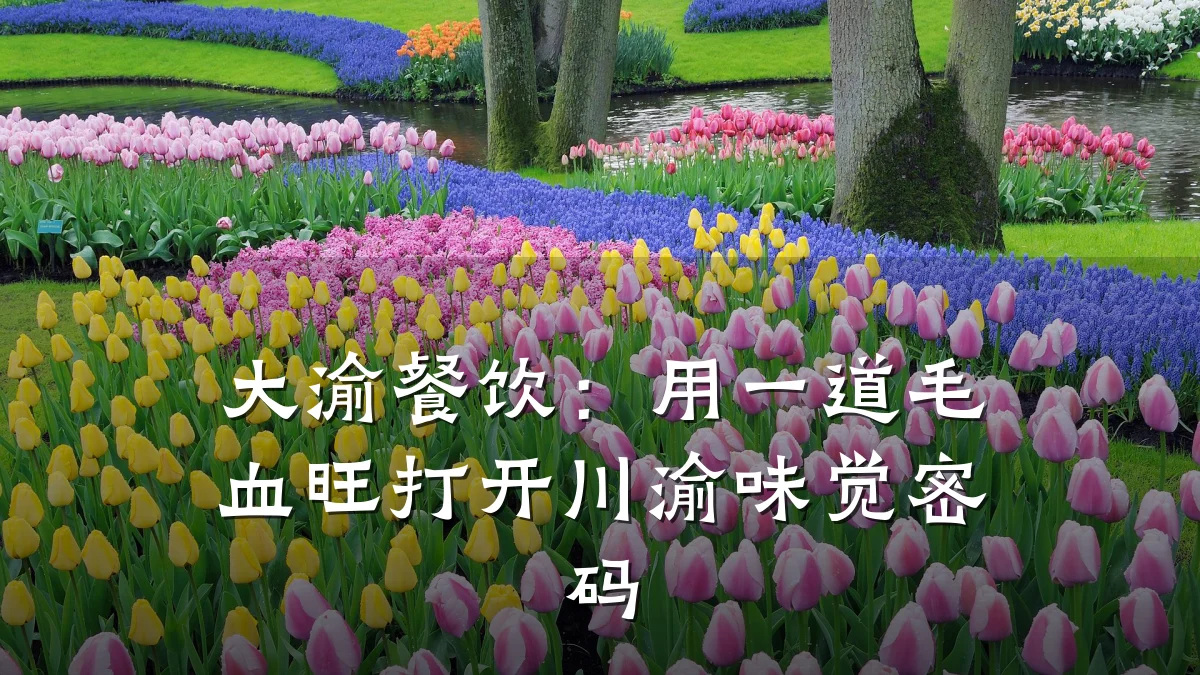 大渝餐饮：用一道毛血旺打开川渝味觉密码