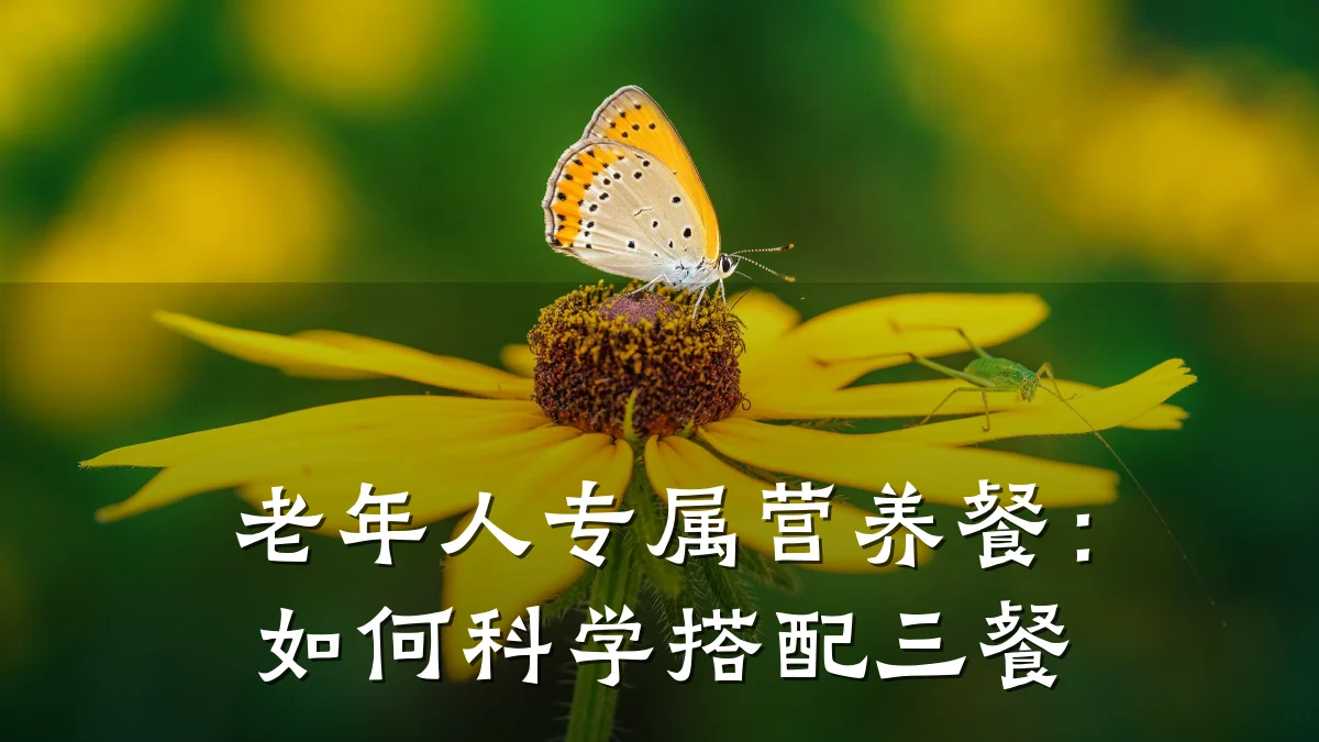 老年人专属营养餐：如何科学搭配三餐