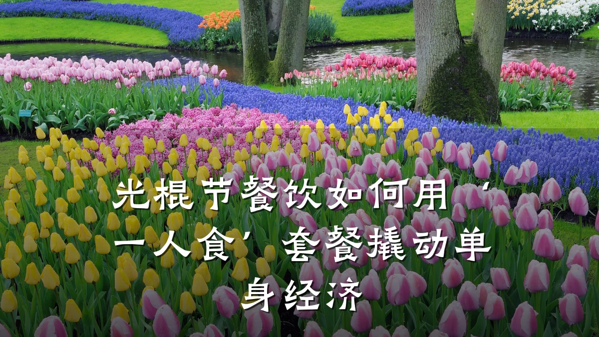 光棍节餐饮如何用‘一人食’套餐撬动单身经济
